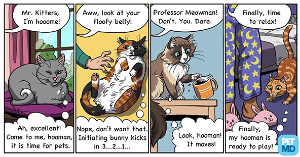 漫画解释猫的行为